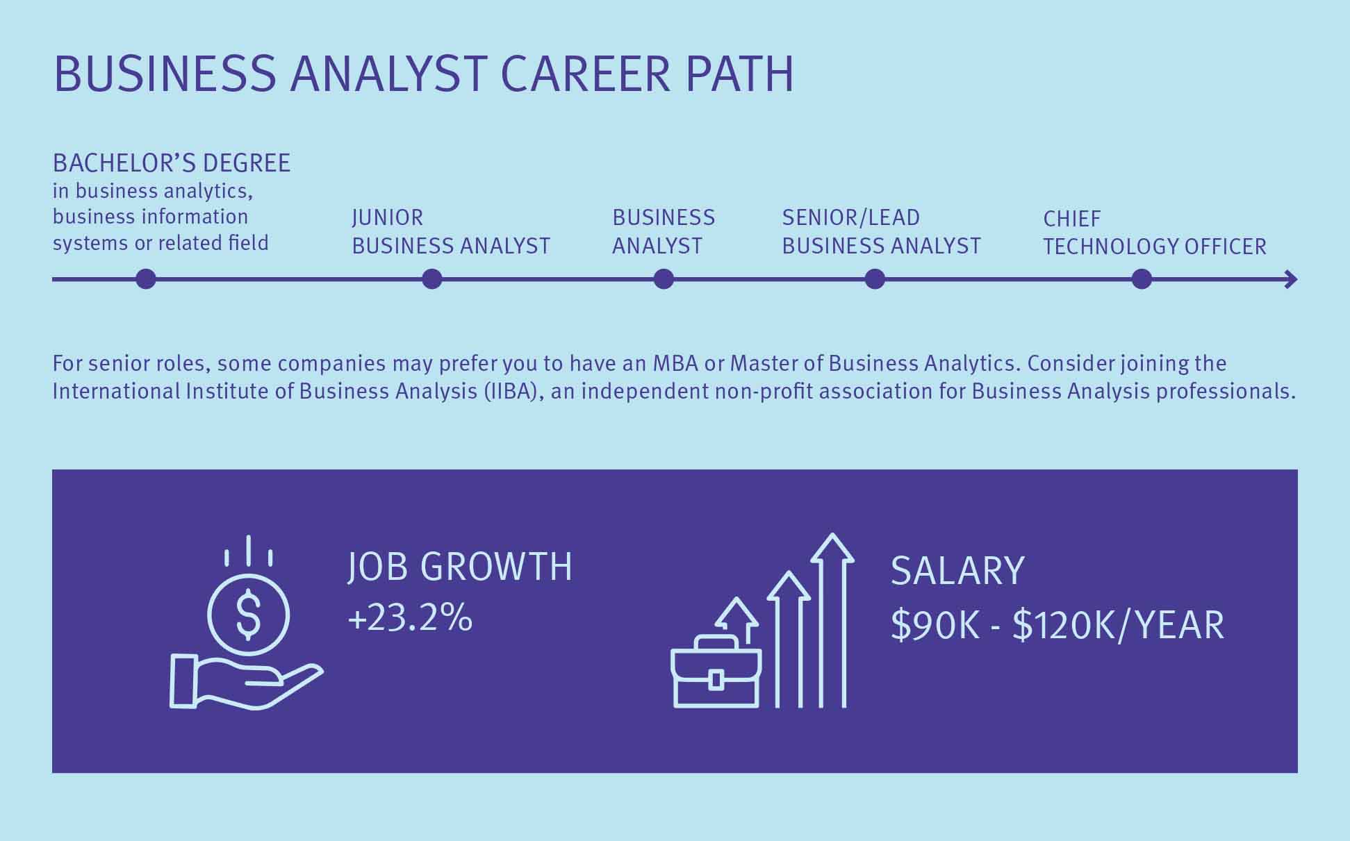 business analyst